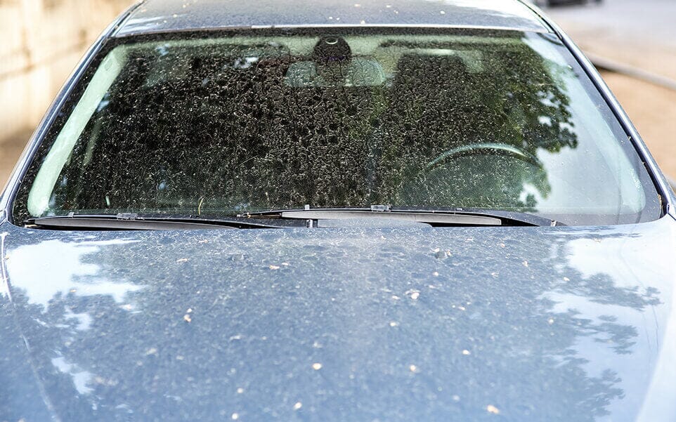 How to Remove Tree Sap From a Car