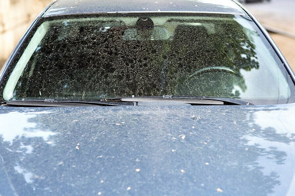 How To Get Tree Sap Off A Car Window In 5 Minutes or Less