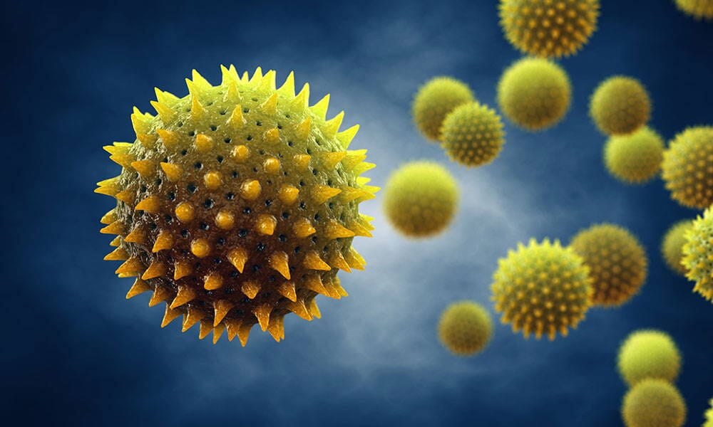 How To Remove Pollen On Car (Best Methods 2023)