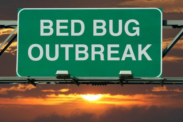 "My Friend Has Bed Bugs and Sat in My Car Should I Burn It?"